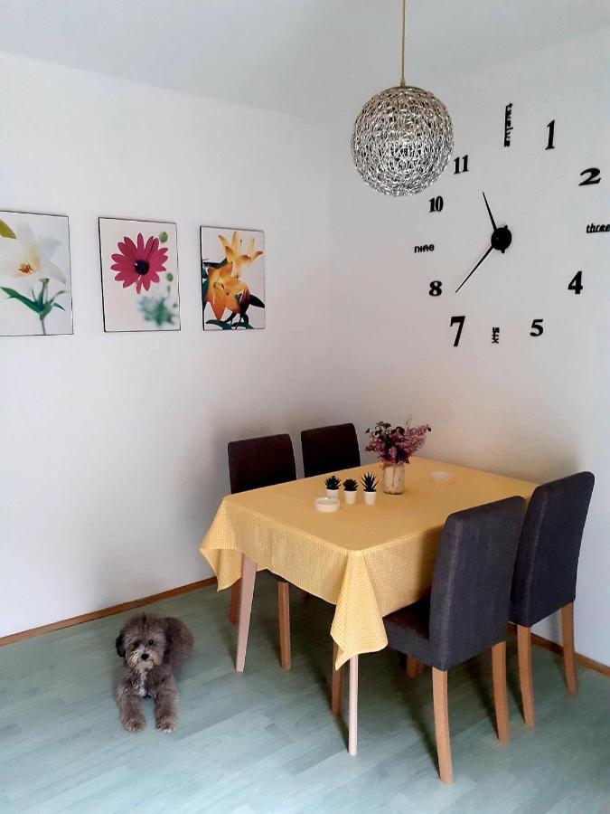 Apartman Danube نوفي ساد المظهر الخارجي الصورة